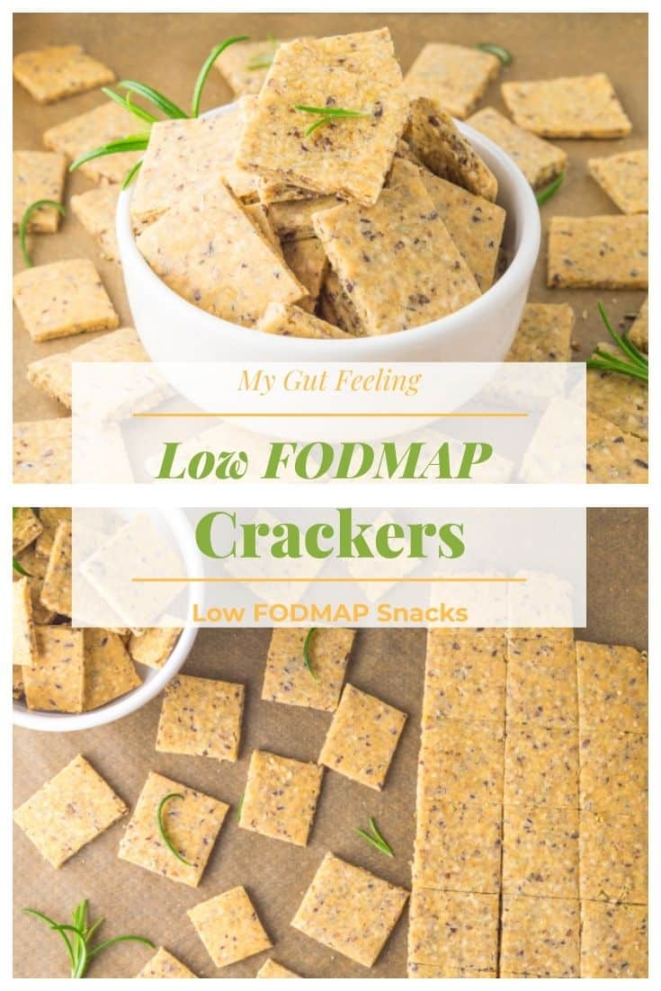 Low FODMAP Vegan Crackers